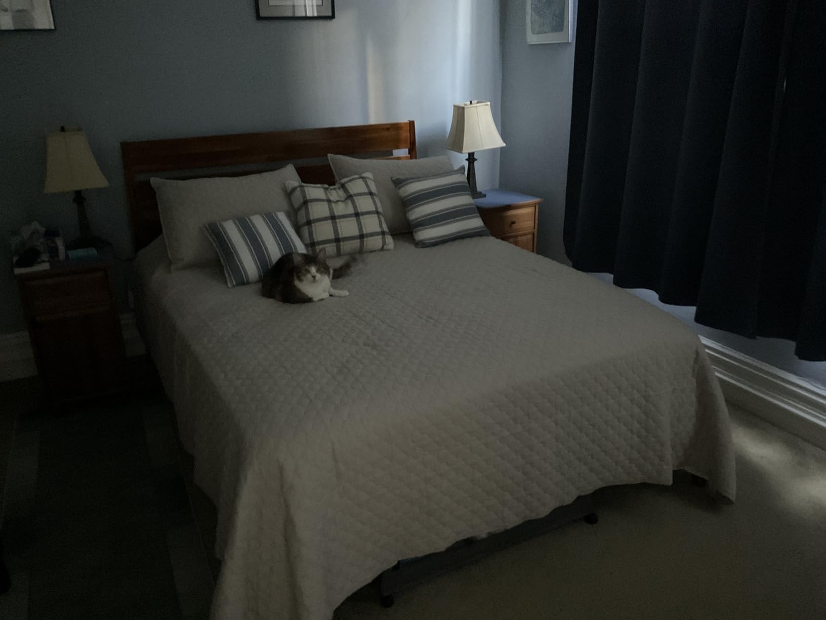 HORIMOTE HOME Quilt Set Queen Size Navy Blue, Classic Geometric Diamond Stitched Pattern, Ultra Soft Microfiber Lightweight Bedding Bedspread Coverlet for All Season with 1 Quilt 2 Pillow Shams customer photo 2