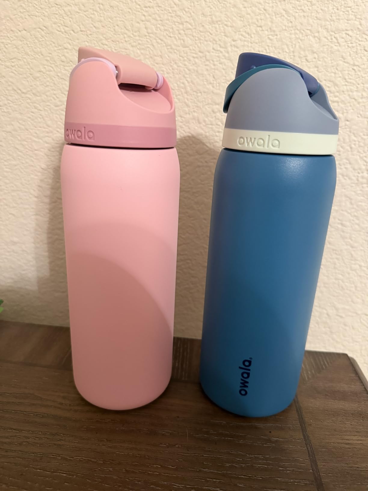 Owala FreeSip Stainless Steel Water Bottle 24 oz Shy Marshmallow customer photo 1