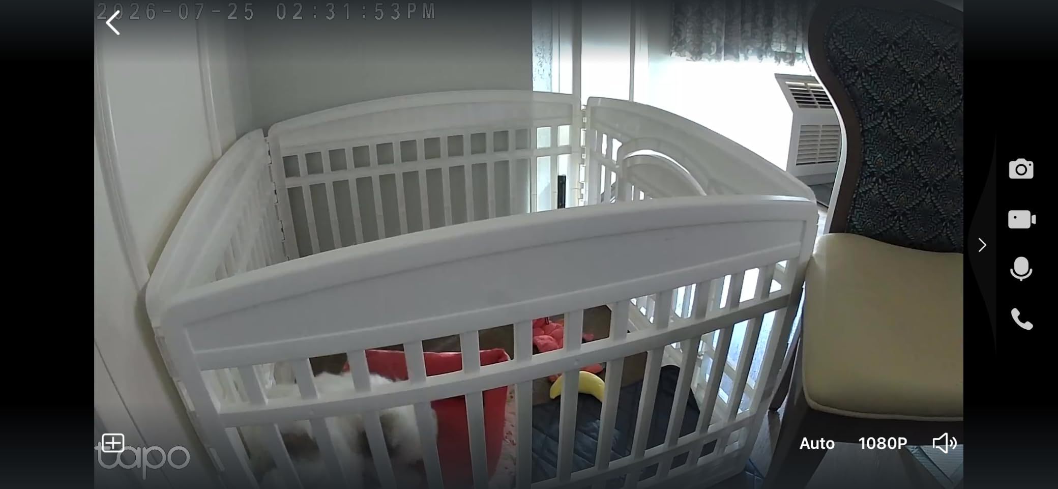Tapo 1080P Indoor Security Camera, Baby Monitor, Dog Camera, Wired, C100 customer photo 1