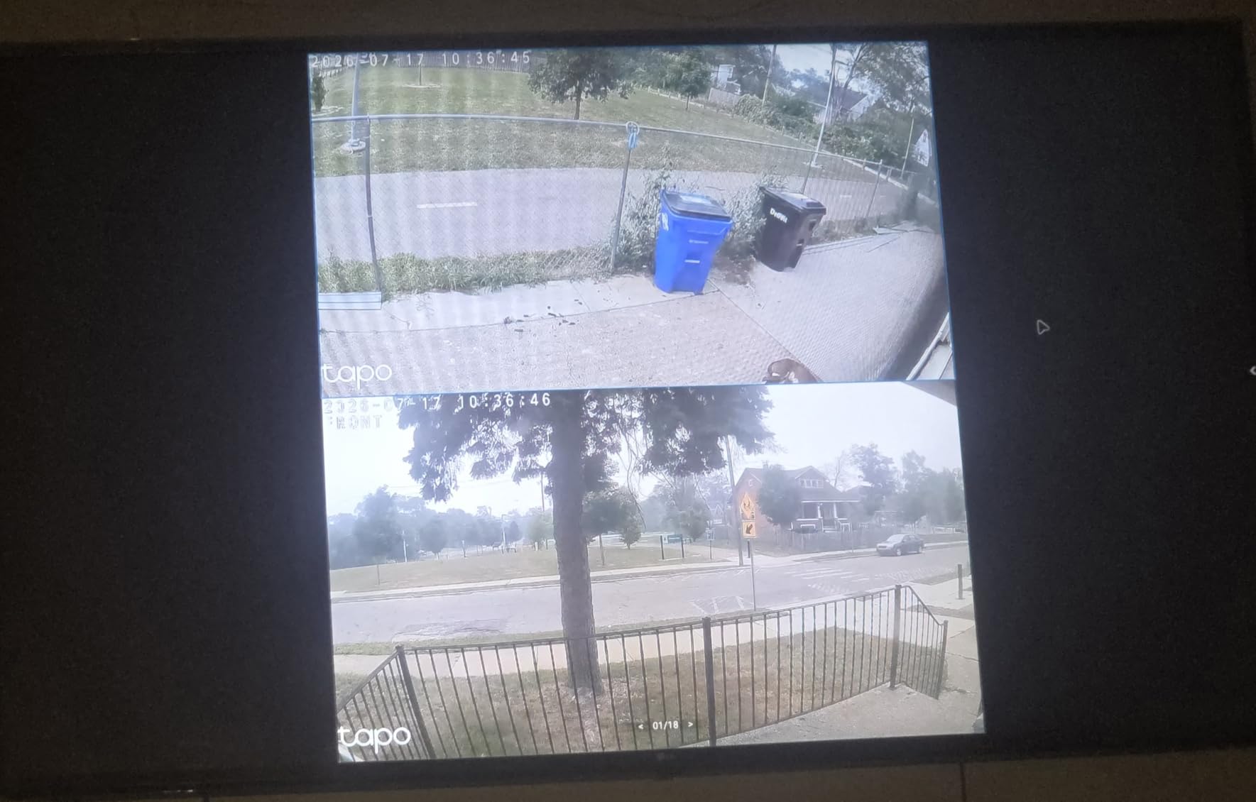 Tapo 1080P Indoor Security Camera, Baby Monitor, Dog Camera, Wired, C100 customer photo 2