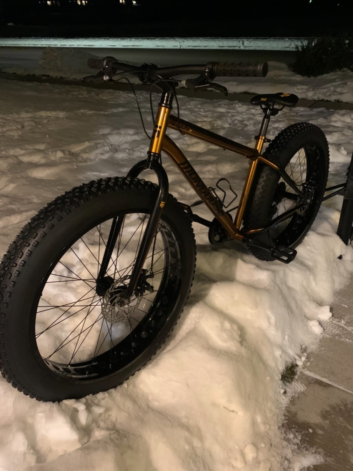 Mongoose Argus Trail or ST Fat Tire Mountain Bike, 20, 24 or 26 Inch Bike for Kids and Adults, 7 or 16 Speed, Aluminum or Steel Frame, Knobby Mountain Fat Tires, Mechanical Disc Brakes customer photo 2
