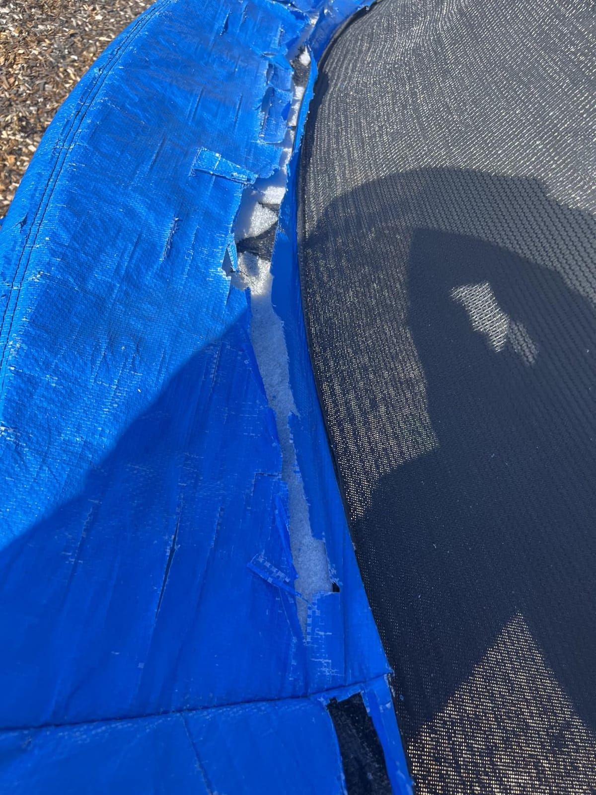 1500LBS 16FT Outdoor Trampoline with Basketball Hoop for Youth & Adult customer photo 1
