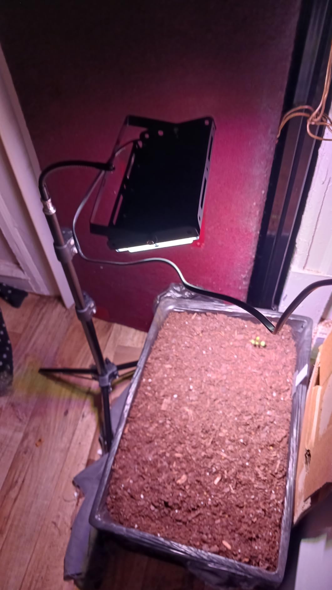LBW Grow Light with Stand, Full Spectrum Grow Lights for Indoor Plants customer photo 2
