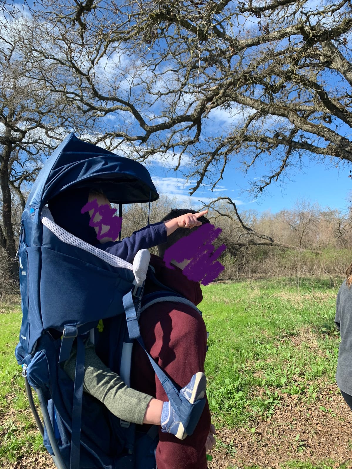 Deuter Kid Comfort Child Carrier and Backpack for Travel & Hiking with Toddlers customer photo 1