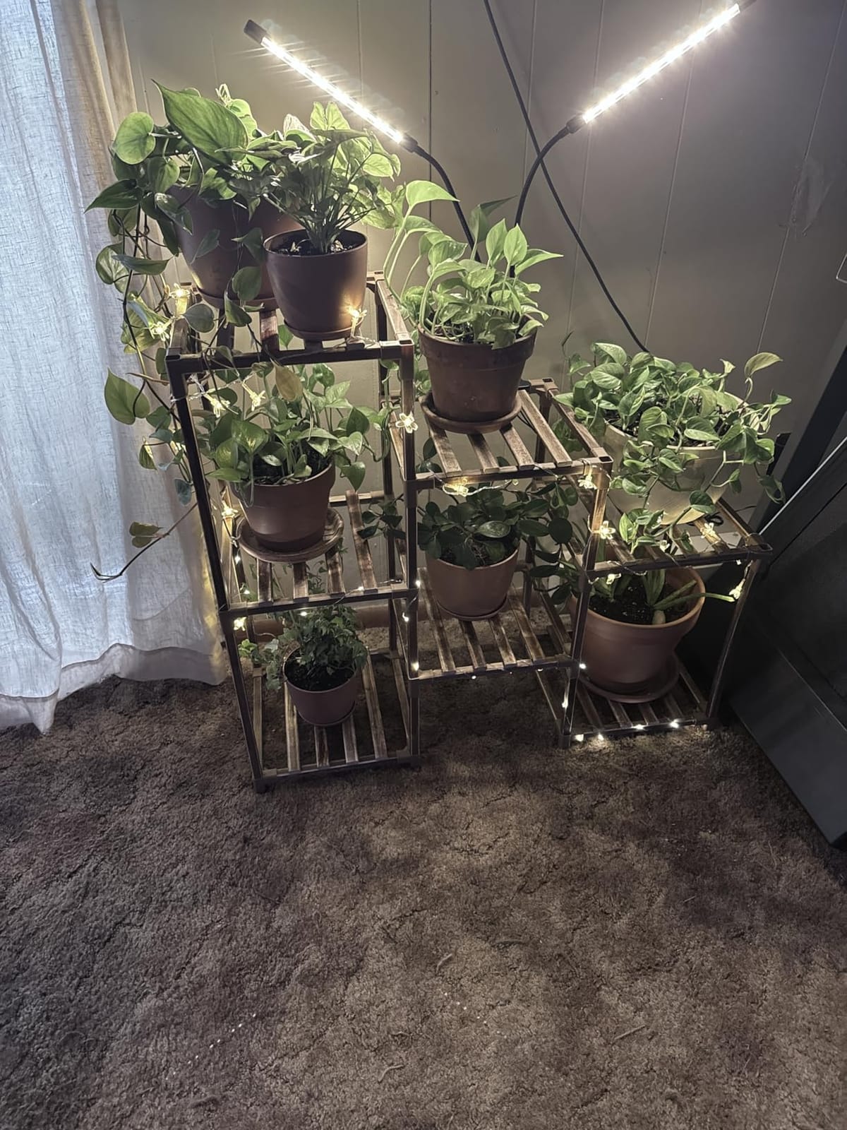 bseah Grow Light Plant Lights for Indoor Plants, Full Spectrum Plant Grow Lamp, 10 Dimmable Levels, Auto ON & Off with 3/9/12H Timer customer photo 2