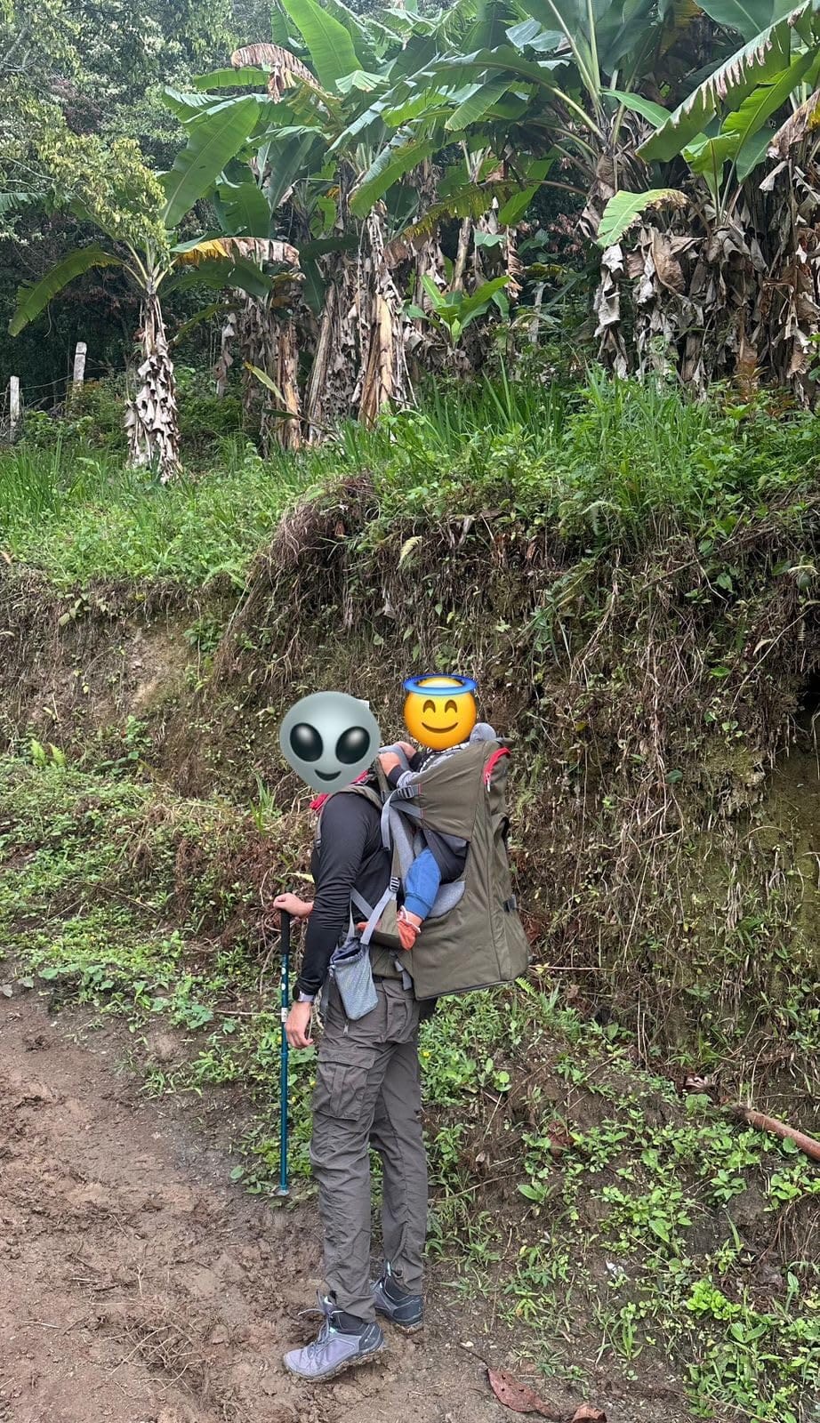 WIPHA Toddler Hiking Carrier, Baby Backpack with Sun Canopy & Storage customer photo 2