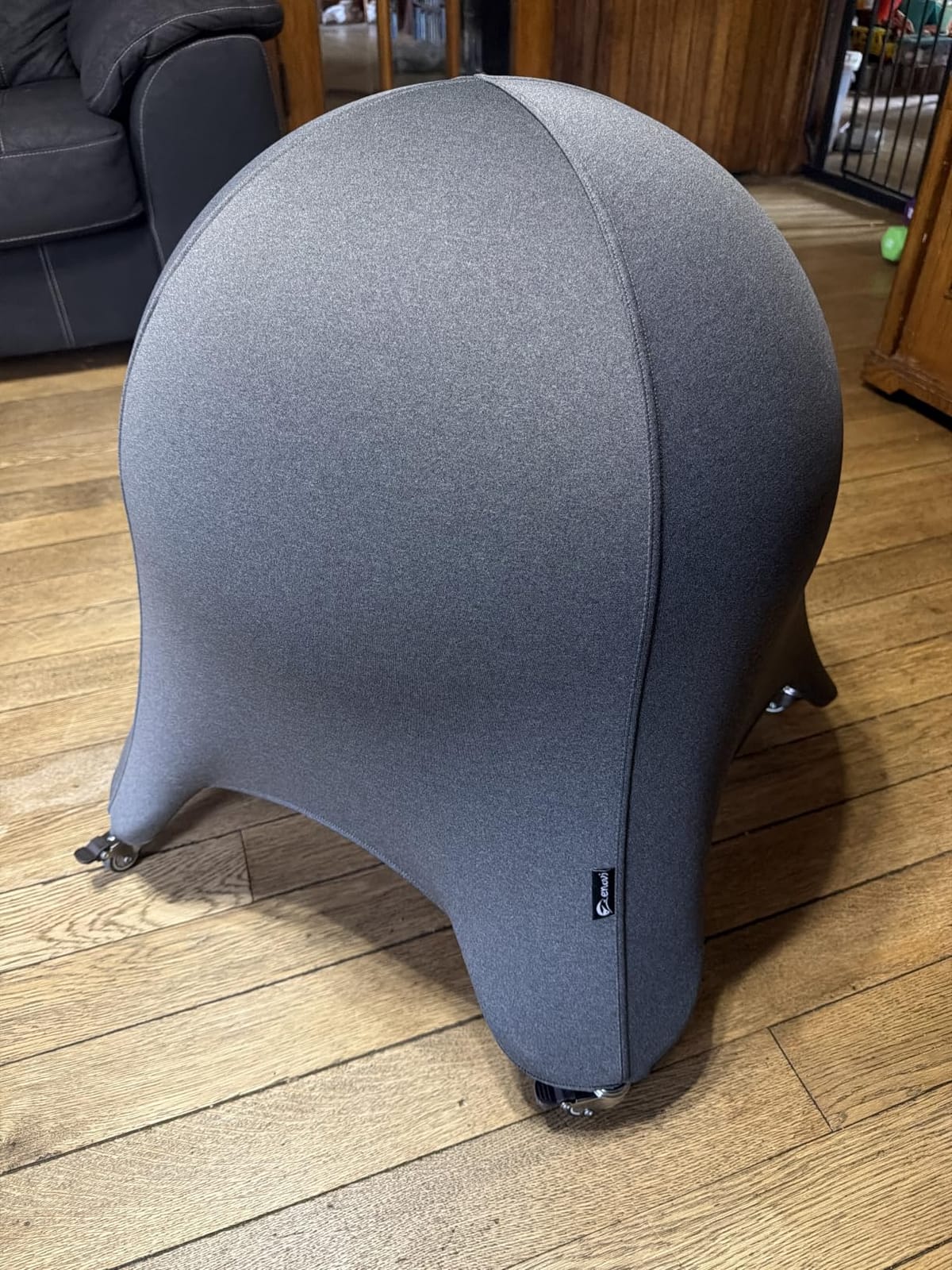 Original Starfish Ball Chair, Yoga Ball Chair Exercise Ball Chair Ergonomic Design for Home Office Desk, Stability Ball & Balance Ball Seat customer photo 1