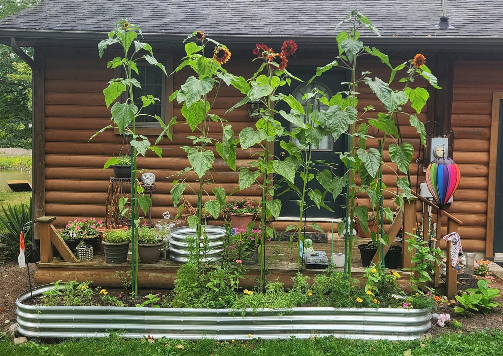 Land Guard Galvanized Raised Garden Bed Kit, Galvanized Planter Garden Boxes Outdoor, Oval Large Metal Raised Garden Beds for Vegetables………… customer photo 2