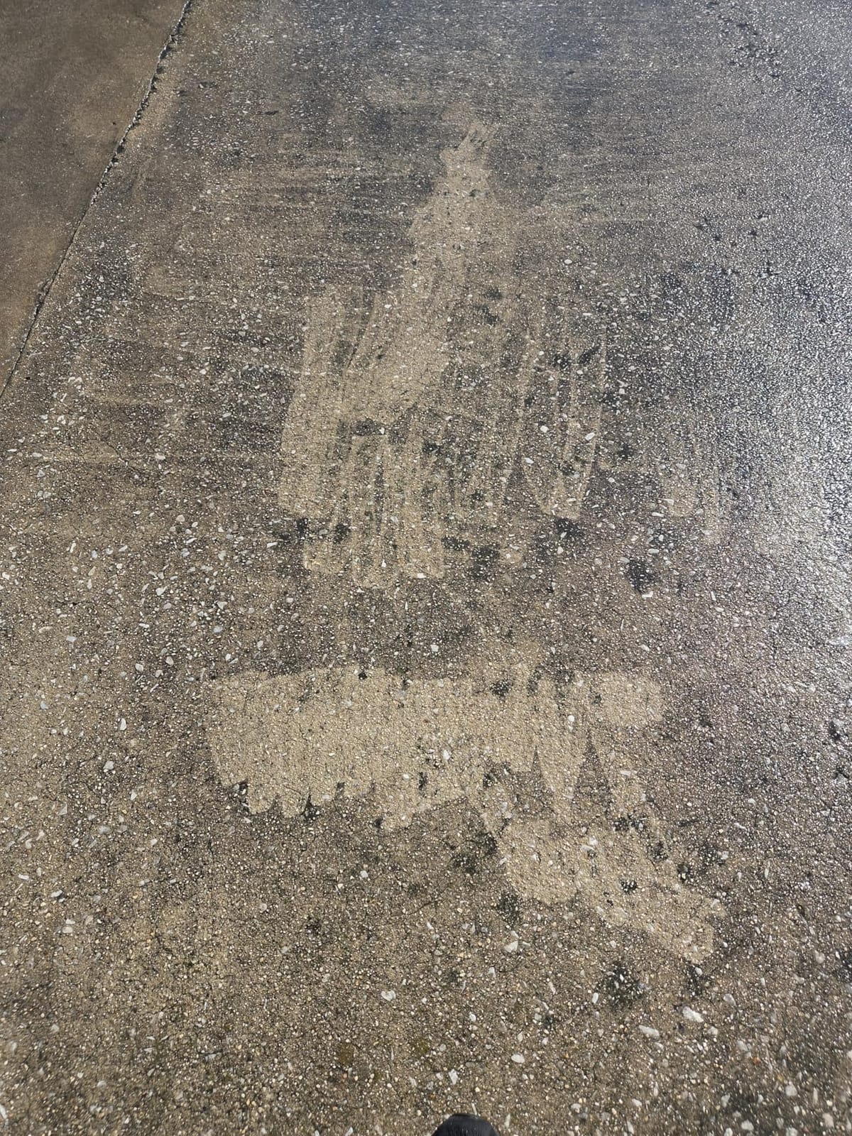 JANZ 14'' Pressure Washer Surface Cleaner customer photo 2