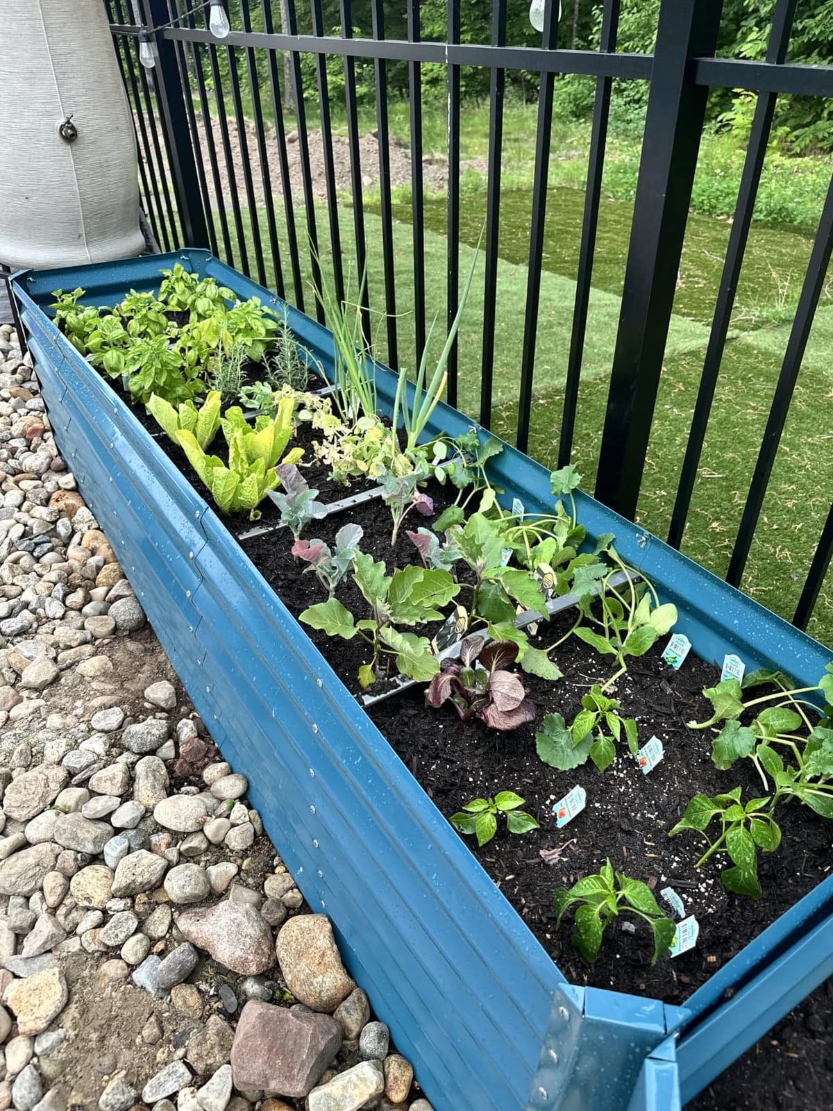 Best Choice Products 8x4x2ft Outdoor Metal Raised Garden Bed, Deep Root Planter Box for Vegetables, Herbs & Flowers, 478-Gallon Capacity, 100% Non Toxic Materials - Gray customer photo 2
