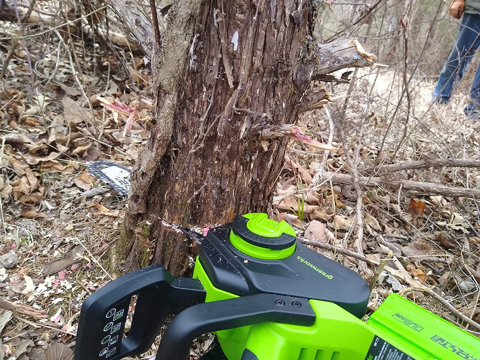 Greenworks 40V 12 in Cordless Electric Chainsaw, 2.0 Ah Battery and Charger customer photo 2