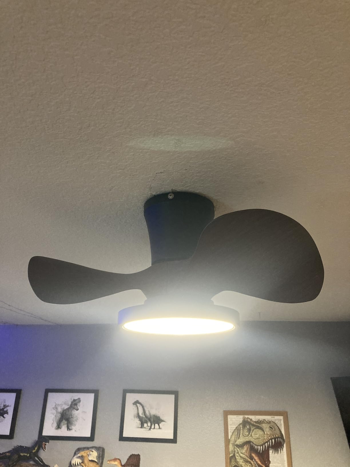 ocioc Quiet Ceiling Fan with LED Light 22 inch Large Air Volume Remote Control for Kitchen Bedroom Dining Room Patio customer photo 2