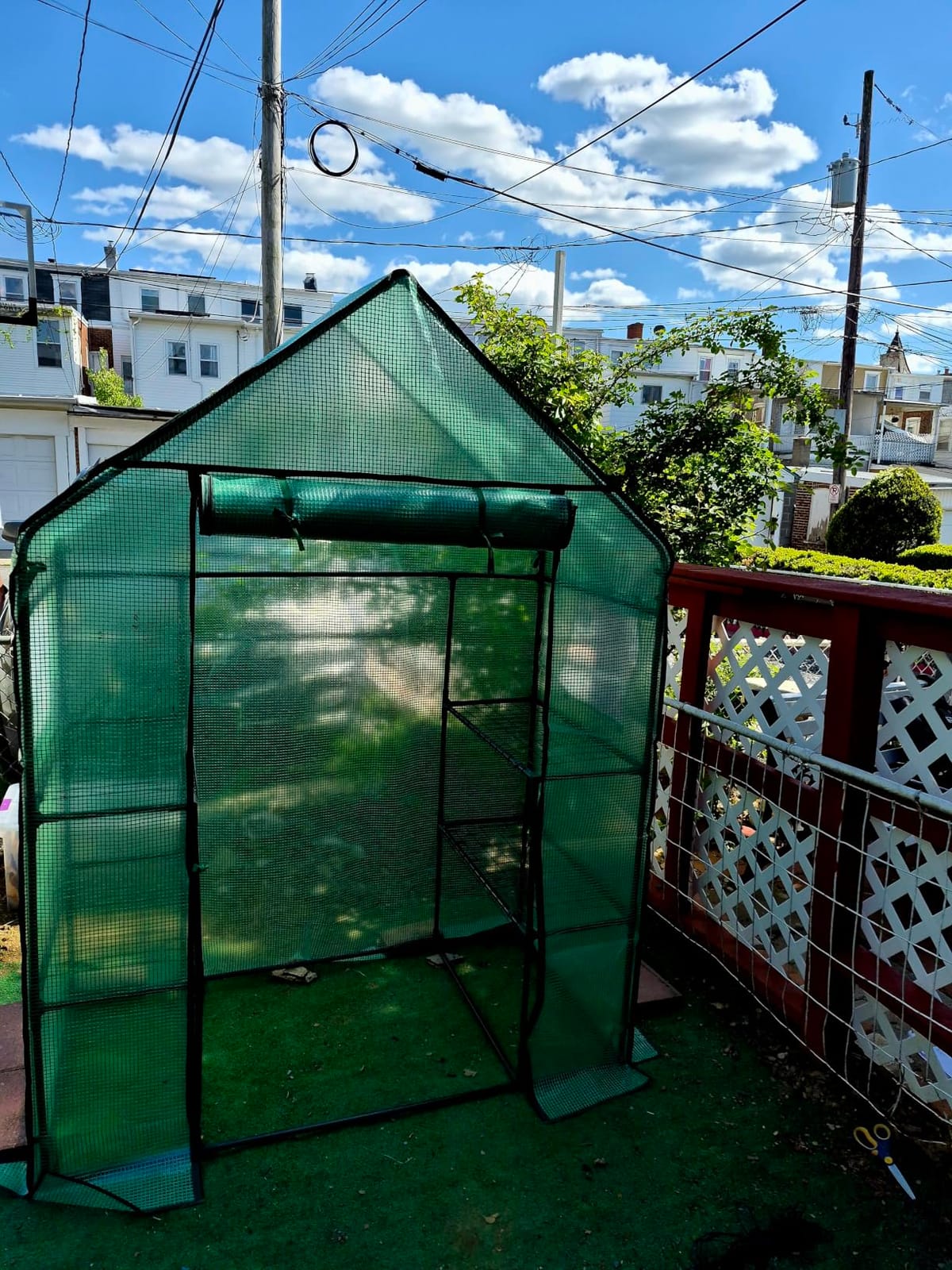 Greenhouse for Outdoors with Screen Windows, Ohuhu Upgraded 4 Tiers 11 Shelves Walk-in Greenhouses with Durable PE Cover, Outside Garden Plastic Green House with Ground Pegs & Ropes for Stability customer photo 1