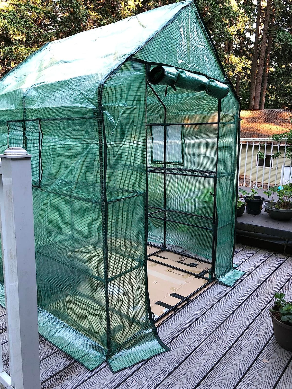 Greenhouse for Outdoors with Screen Windows, Ohuhu Upgraded 4 Tiers 11 Shelves Walk-in Greenhouses with Durable PE Cover, Outside Garden Plastic Green House with Ground Pegs & Ropes for Stability customer photo 2