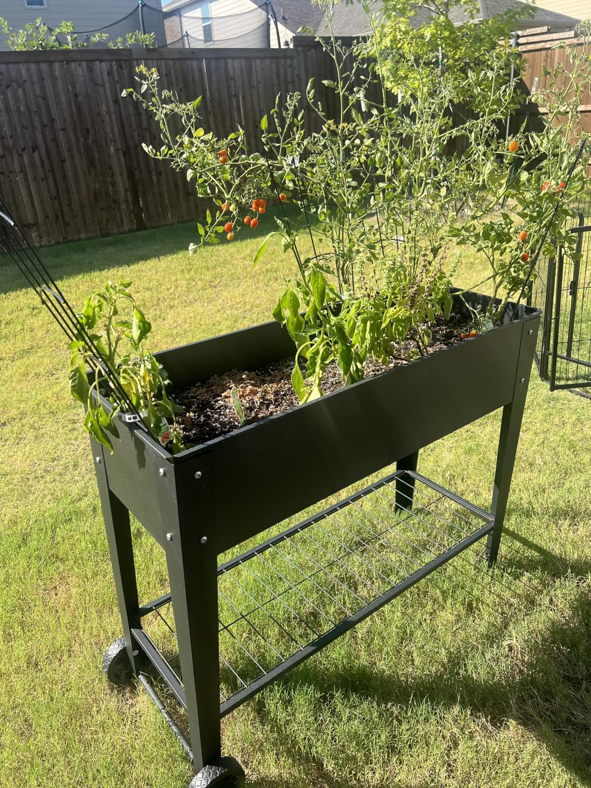 LEETOLLA 32-Inch Elevated Raised Garden Bed with Wheels and Storage Shelf customer photo 1