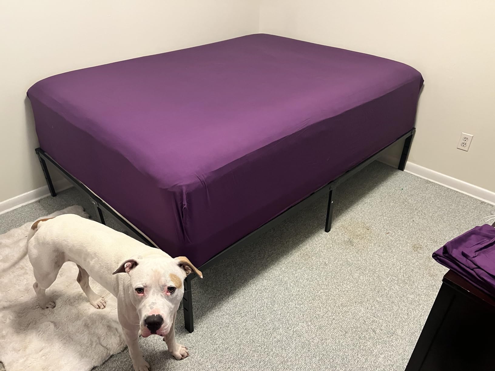 NEW JETO Metal Bed Frame,Queen Size Bed Frame with Storage Space,14 Inch customer photo 2