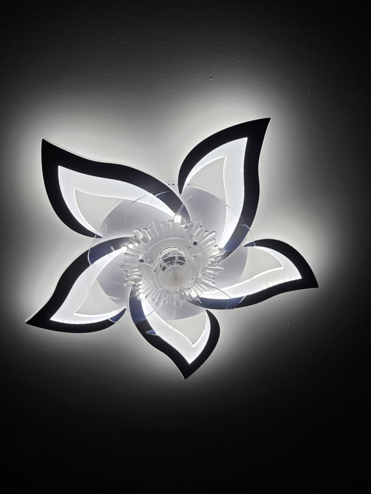 Bevenus Low Profile Ceiling Fan with Lights,110v Modern Dimmable Flower Shape, Remote Control/app Control,Timing 6 Gear Speeds Fan Ceiling Lamp. customer photo 1