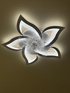 Bevenus Low Profile Ceiling Fan with Lights,110v Modern Dimmable Flower Shape, Remote Control/app Control,Timing 6 Gear Speeds Fan Ceiling Lamp. customer photo 2