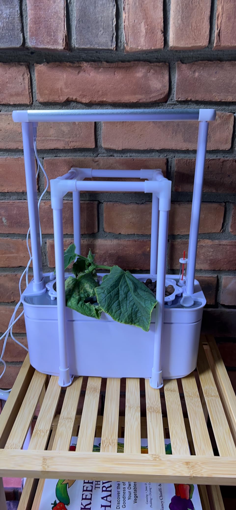 Tall Hydroponics Growing System kit with Height Adjustable Light & Trellis customer photo 1