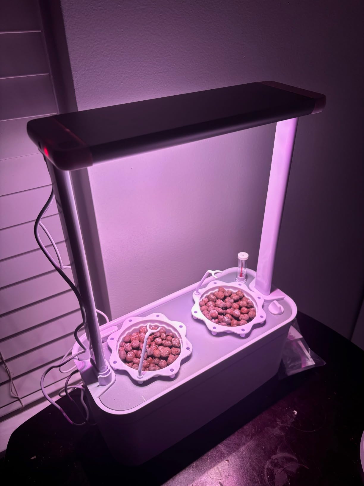 Tall Hydroponics Growing System kit with Height Adjustable Light & Trellis customer photo 2