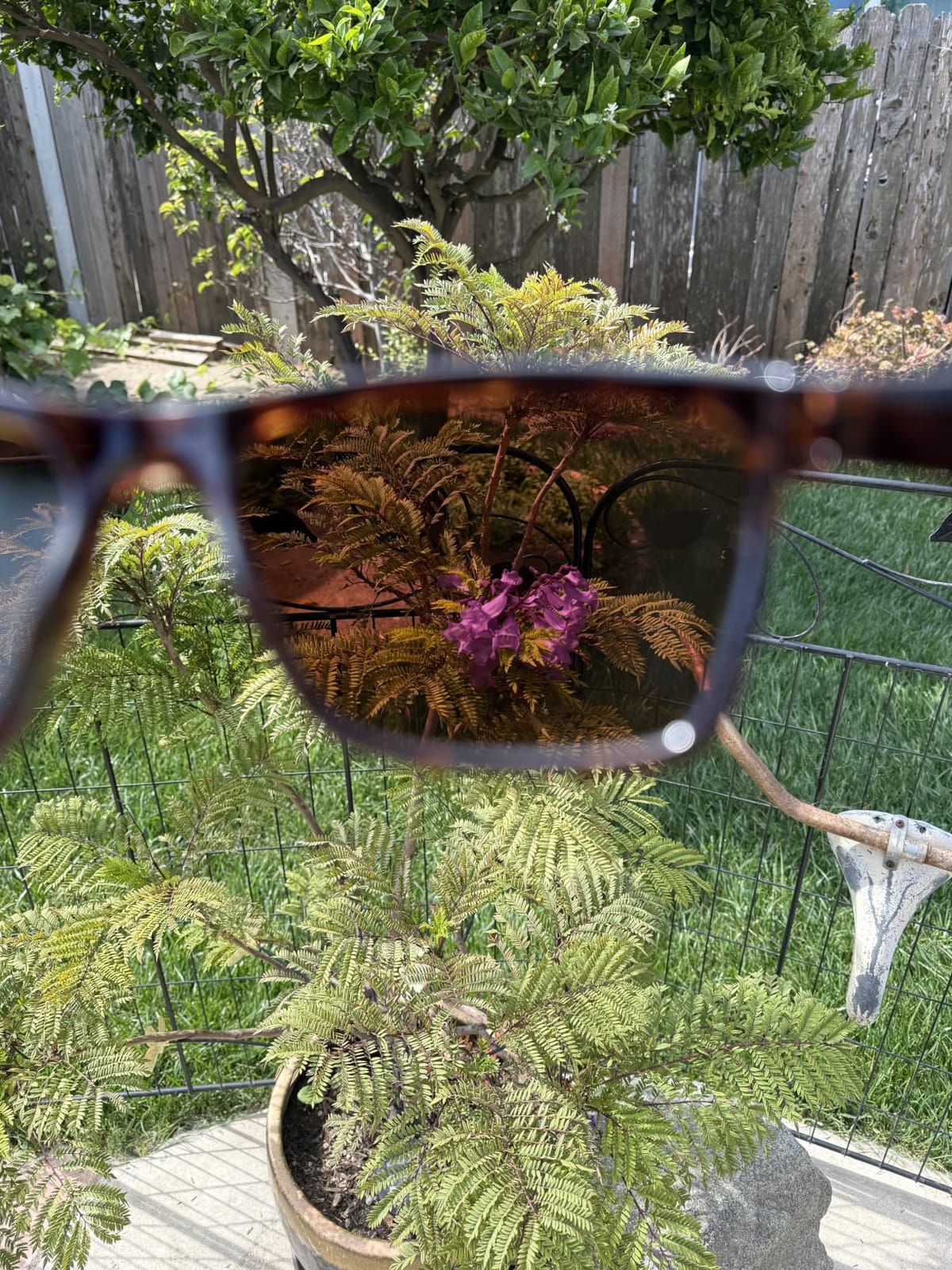 KastKing FlatRock Polarized Sport Sunglasses for Men & Women, UV Protection customer photo 1
