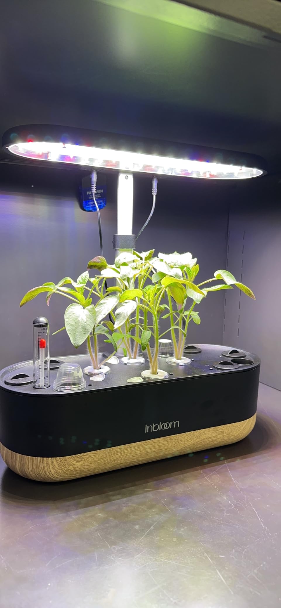 inbloom Hydroponics Growing System 12 Pods, Indoor Herb Garden with LEDs Full-Spectrum Plant Grow Light, Water Shortage Alarm, Automatic Timer, Height Adjustable,Gardening Gifts for Women, White customer photo 1
