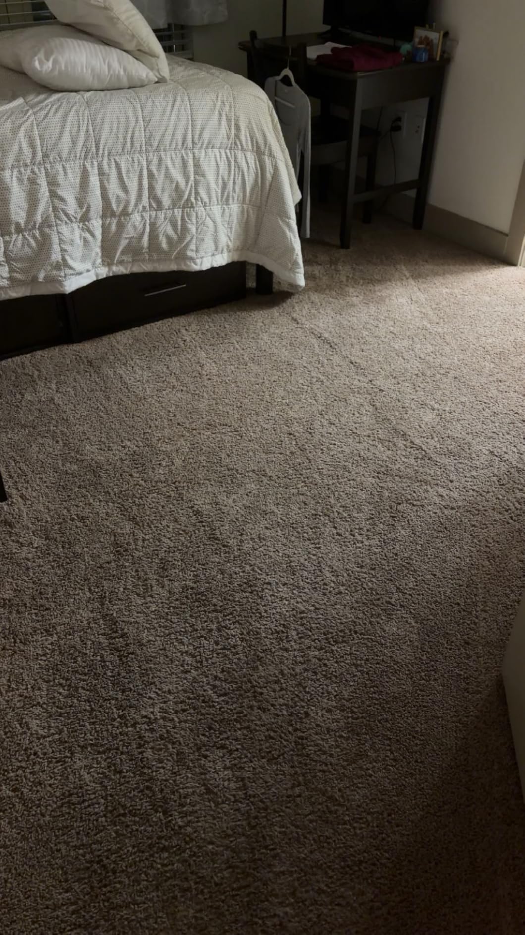 Dirt Devil Portable Spot Cleaner Machine for Carpet and Upholstery customer photo 2