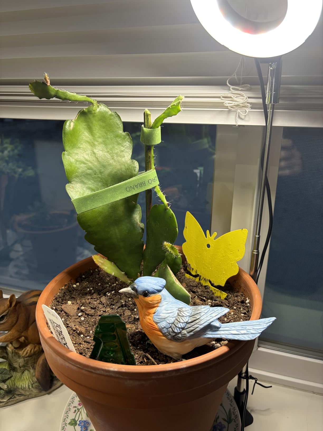 Aokrean Grow Lights for Indoor Plants, Full Spectrum Plant Light with Base customer photo 2