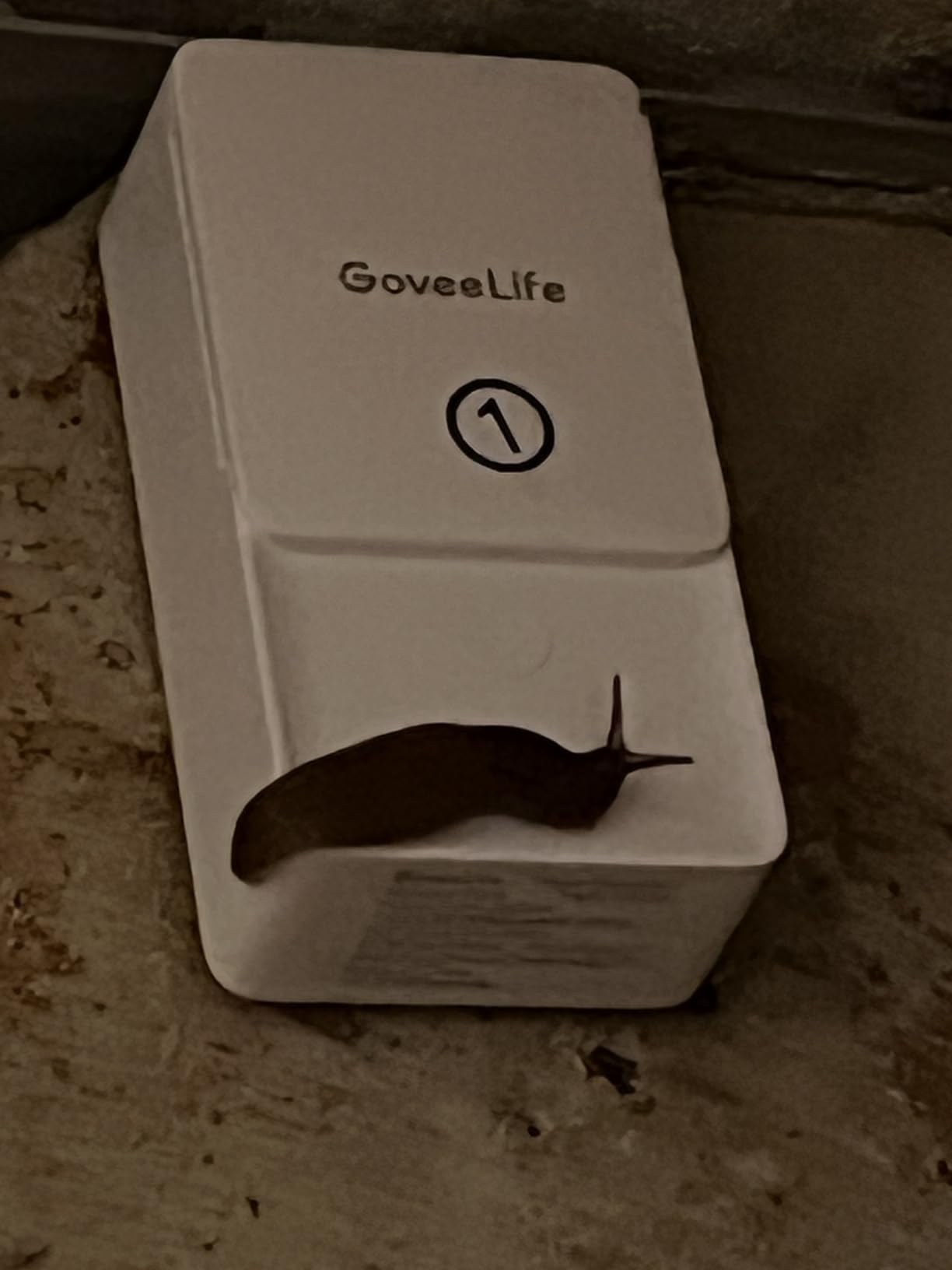 GoveeLife Smart Water Leak Detector 2 with 1968ft Ultra-Long Range, 6 Pack customer photo 2