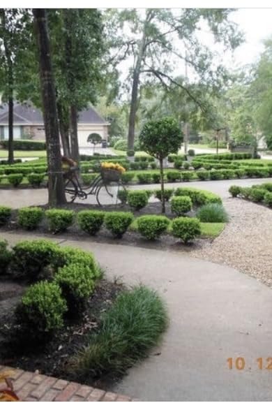 Saker 20V Cordless Hedge Trimmer,2 in 1 Bush Trimmer with 2 Battery customer photo 1