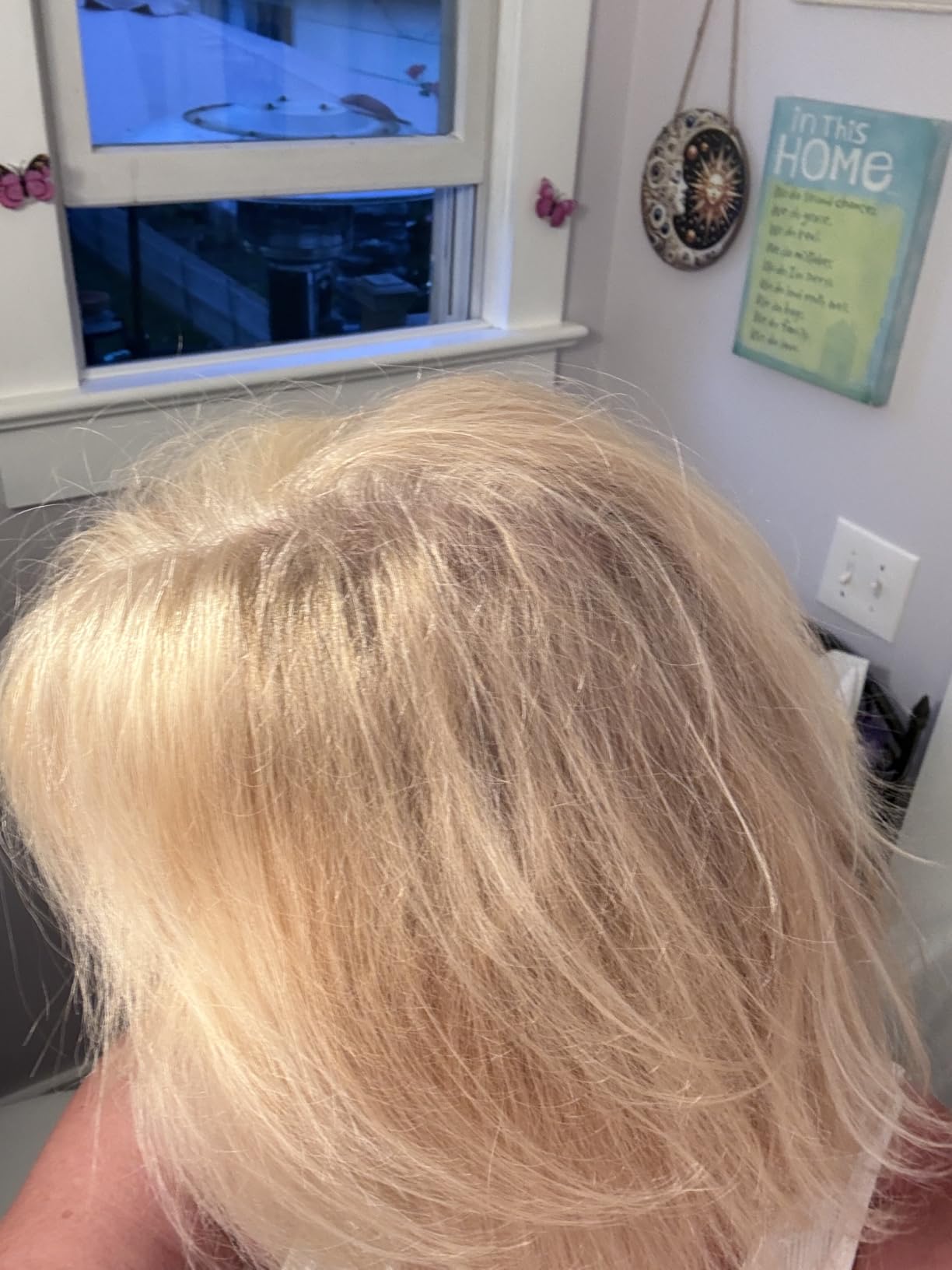 ELLA BELLA® Ionic Hair Dryer with Diffuser - Negative Ion Blow Dryer, Quiet customer photo 2