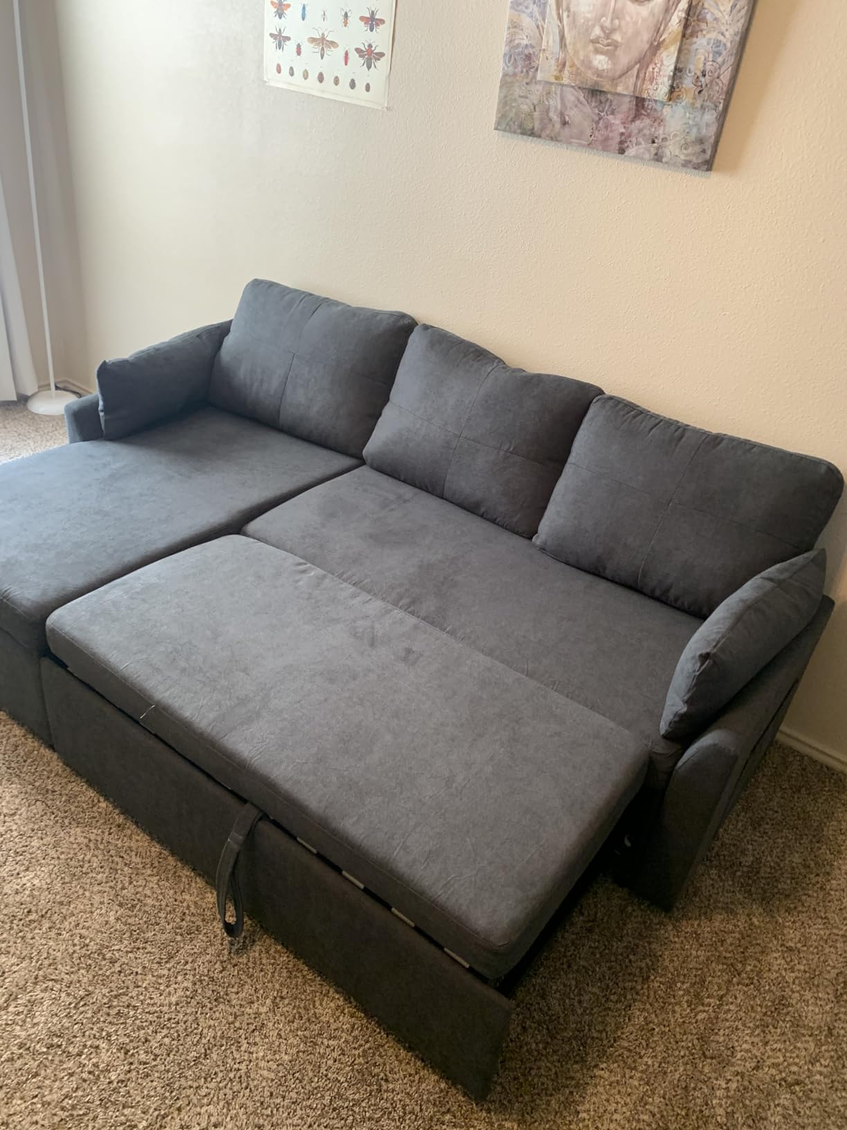 VanAcc Sofa Bed, Sleeper Sofa with Storage, Convertible Sofa,Pull Out Couch customer photo 2