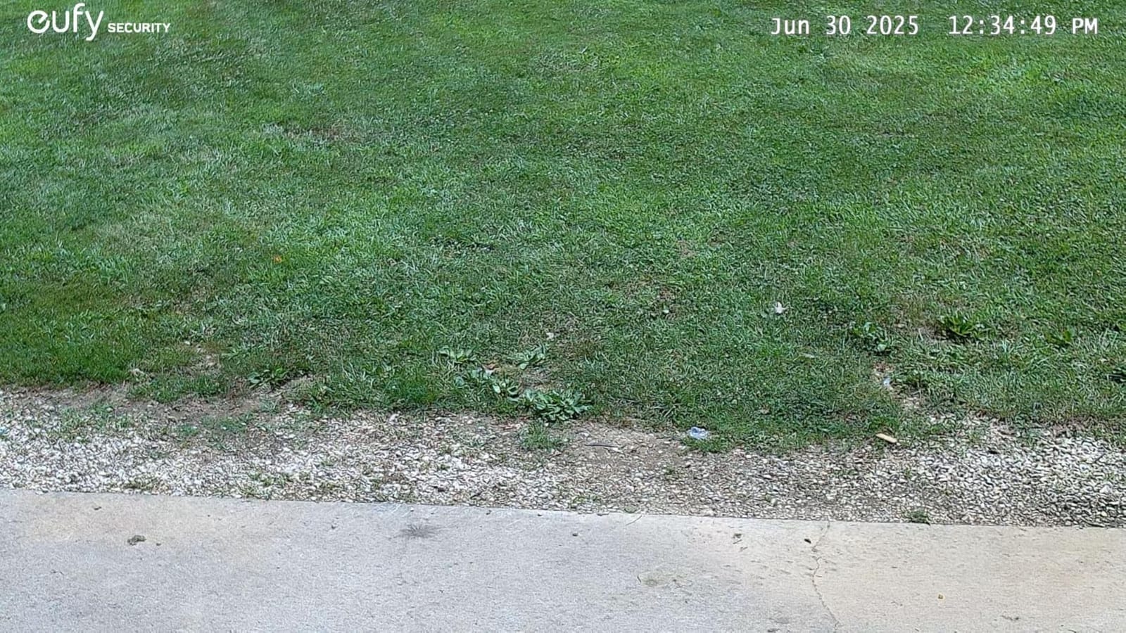eufy Security Floodlight Camera E340, Dual-Lens, 360° Coverage, 8X Zoom customer photo 1