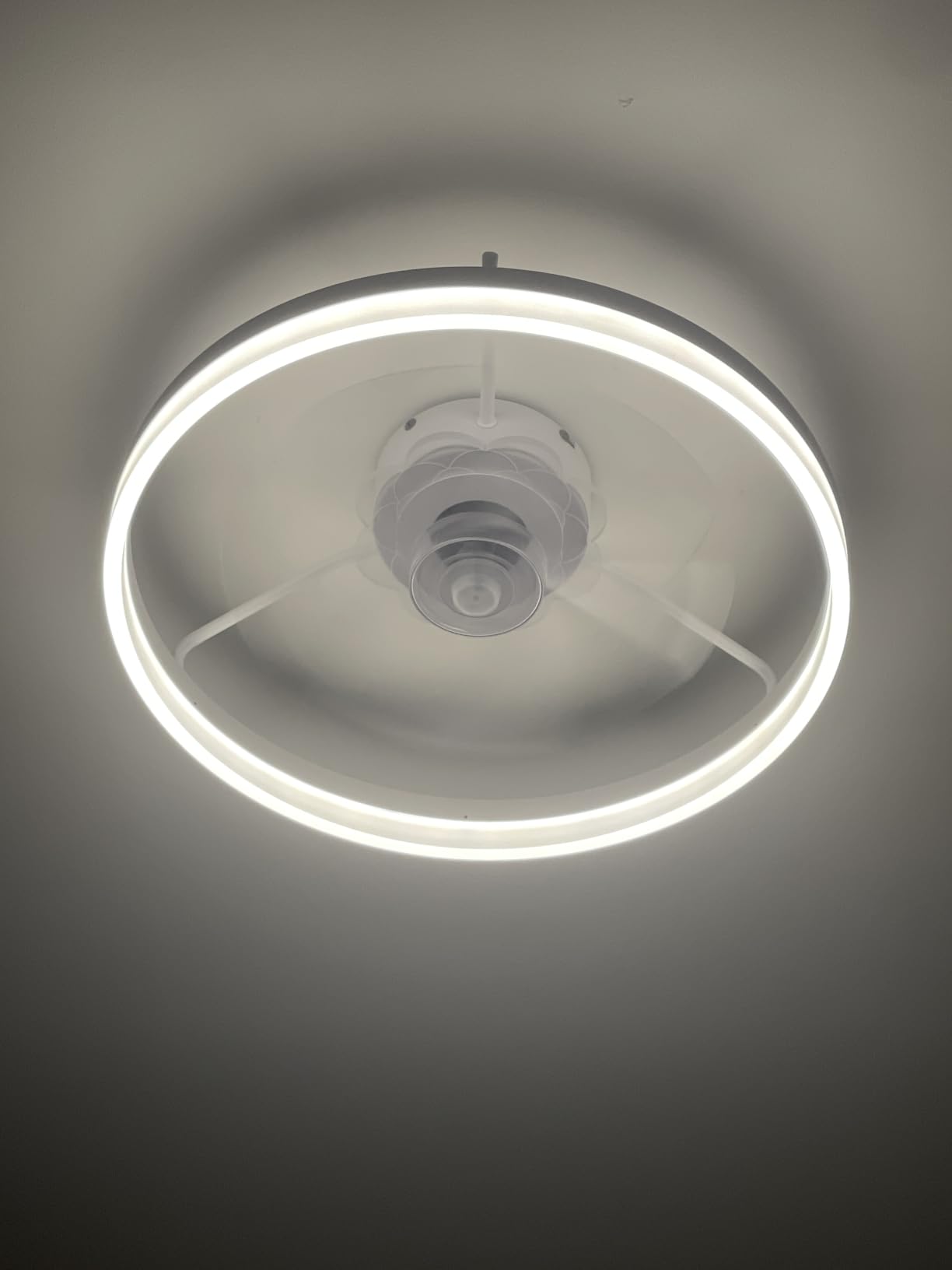 Fszdorj 20'' Low Profile Ceiling Fan with Light and Remote, Fandelier Black customer photo 1