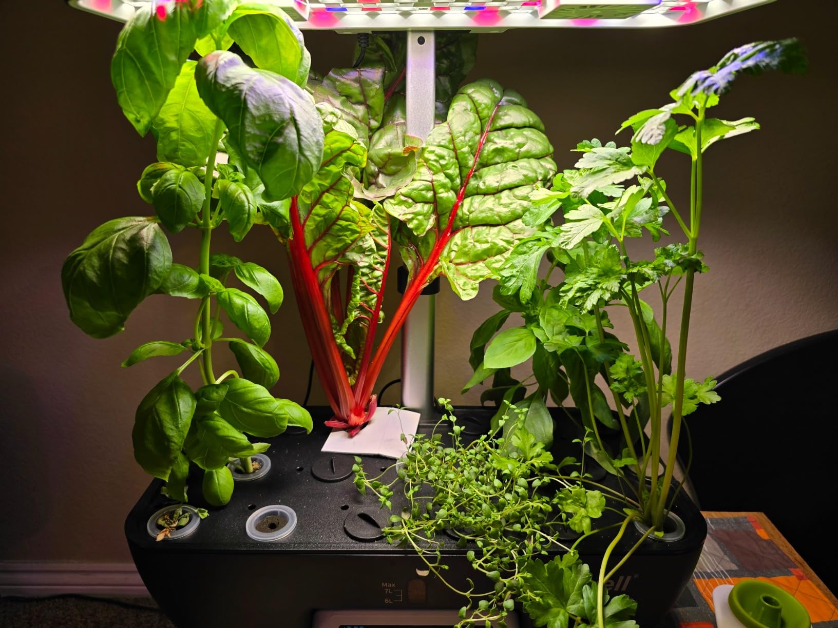 Hydroponics Growing System Kit, 17 Pods Herb Garden with 102 28W Full-Spectrum Grow Lights & 2 Fans, Indoor Garden with Water Pump, 10L Water Tank, Auto Timer, Height Adjustable (Black & White) customer photo 1