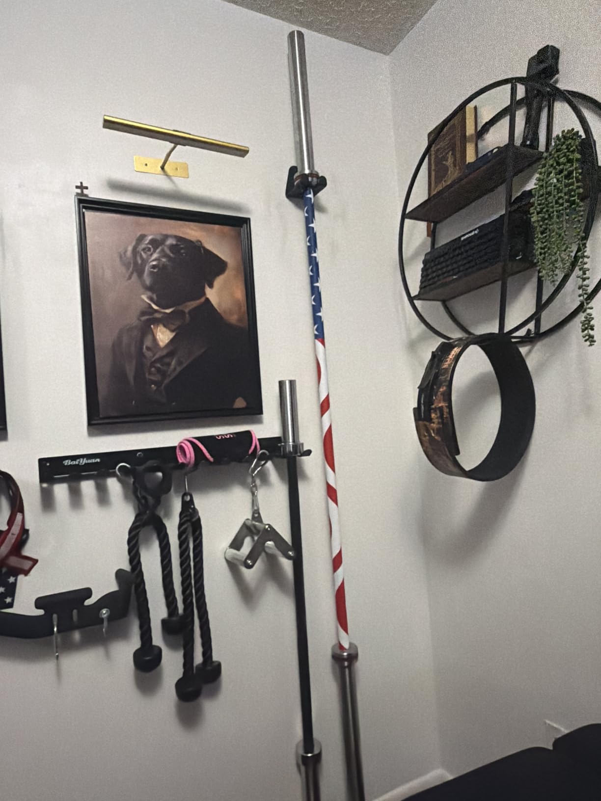 JNIHEEP Olympic Barbell Hanger,Garage Gym Bar Wall Rack,Vertical Barbell Mount Rack,Black Powder Coated,Space Saving Commercial or Home Gym Accessory,Holds Under 33mm Bar Size customer photo 1