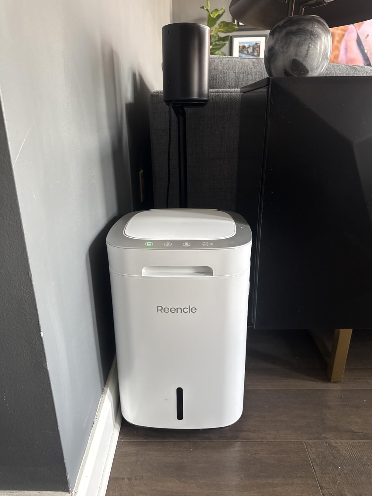 Reencle Prime Electric Composter - 14L Kitchen Composter, Decomposes Up to 2.2 lbs Food Waste Daily, Odorless Indoor Composting with Whisper-Quiet Technology & Rapid Decomposition (Silver) customer photo 1