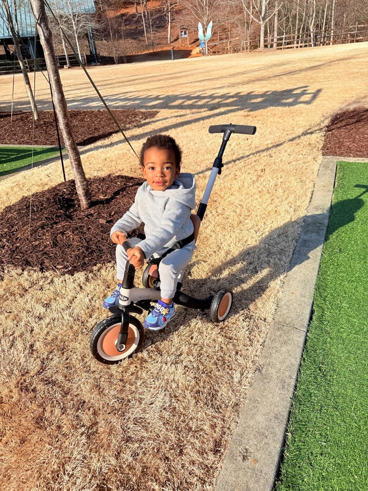 newyoo TR007 5-in-1 Tricycle for Toddlers 1-3, Toddler Bike, Birthday Gift | Toddler Trike with Push Handle Lets Parents Steer and Converts to Balance Bike, Fun Outdoor Toy for Boys and Girls, Khaki customer photo 2