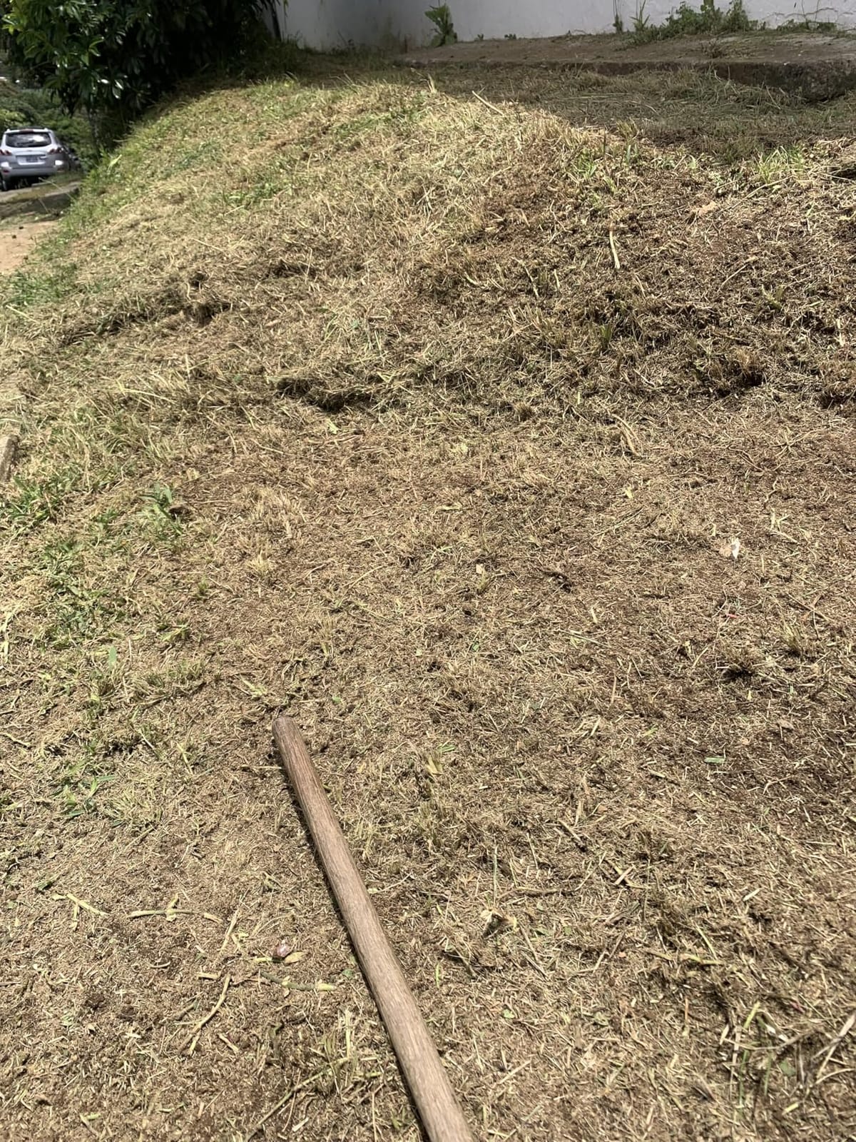 Husqvarna 122LK Grass Trimmer, Straight Shaft Gas Trimmer, Outdoor Tools customer photo 1