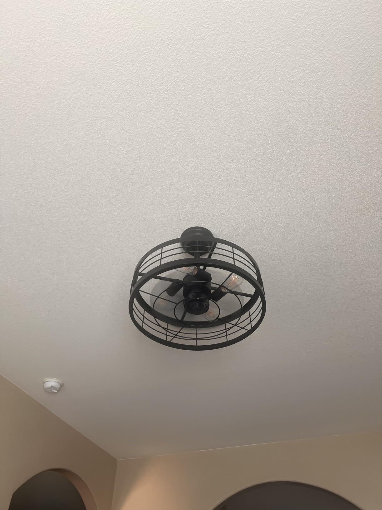 LEDIARY 20 inch Fandelier Caged Ceiling Fan with Light and Remote, Black customer photo 1