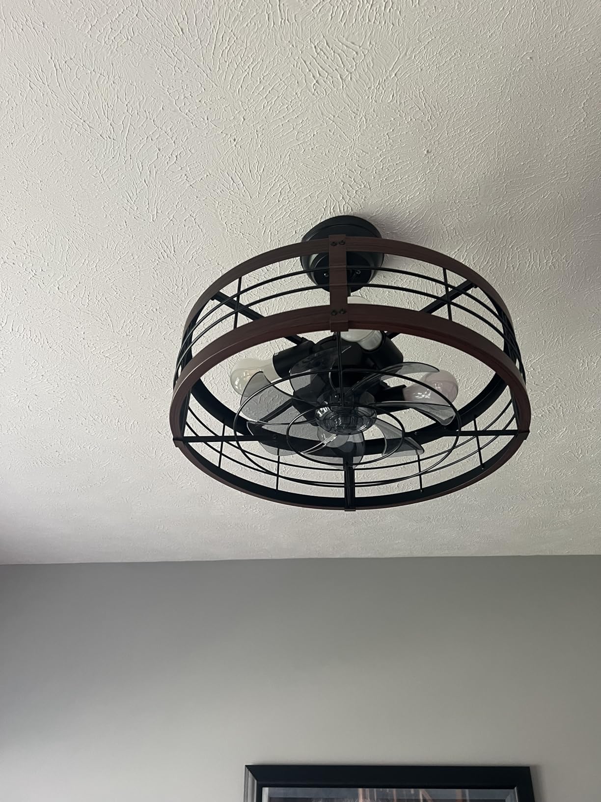 LEDIARY 20 inch Fandelier Caged Ceiling Fan with Light and Remote, Black customer photo 2