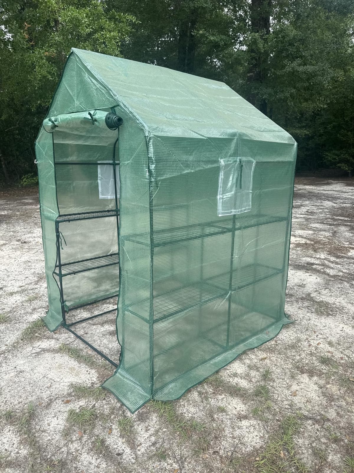 SPECILITE 56×56×78Inch Walk-in Greenhouse for Outdoors Garden Plant, Green customer photo 1