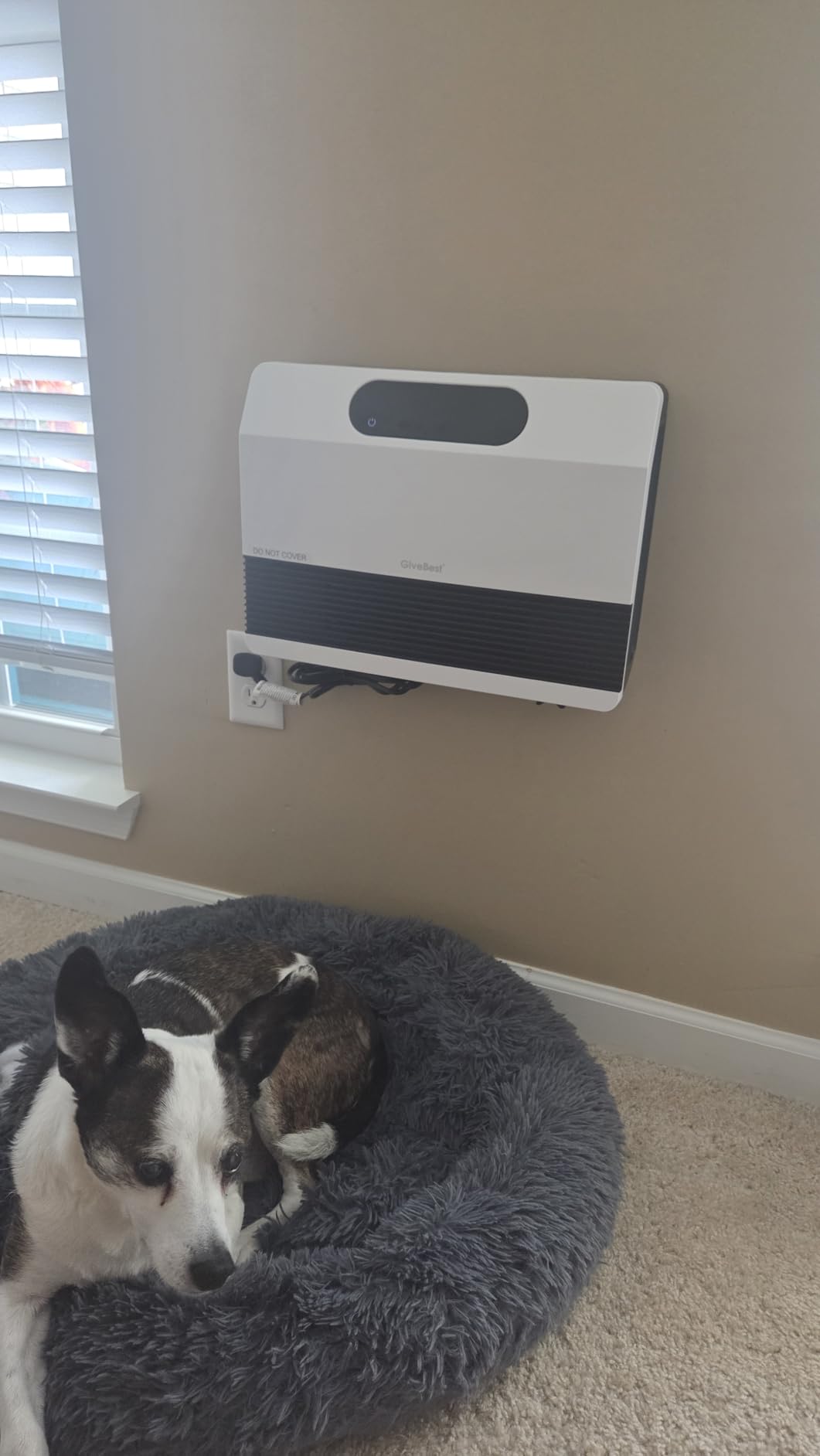 GiveBest Electric Wall Mounted Heater, 1500W Space Heaters for Indoor Use customer photo 2
