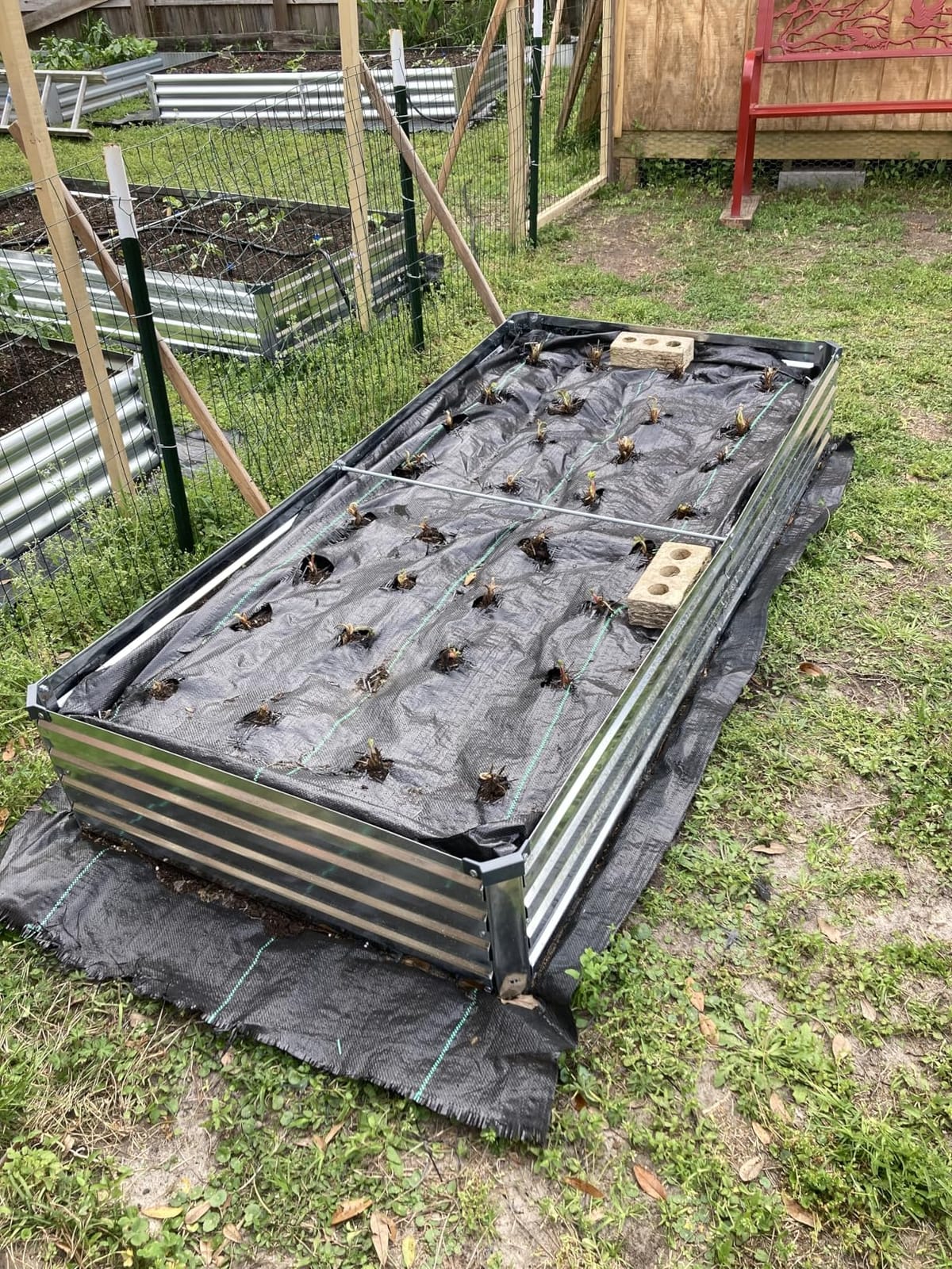 Meberam 2 Pack 6x3x1FT Galvanized Raised Garden Beds Kit Outdoor Metal Gardening Planter Box for Vegetable Elevated Flower Herbs,Silver customer photo 1