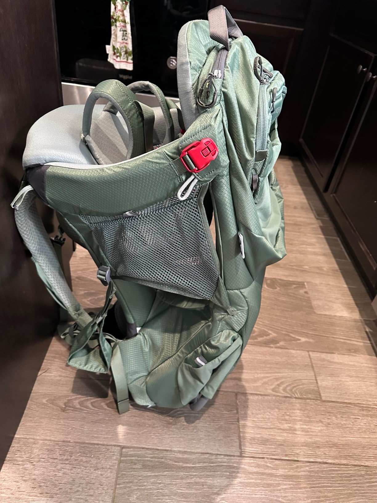 Osprey Poco Premium Child Carrier Backpack - Adjustable Travel Baby Carrier with Sunshade - Hiking Carrier for Toddlers customer photo 1