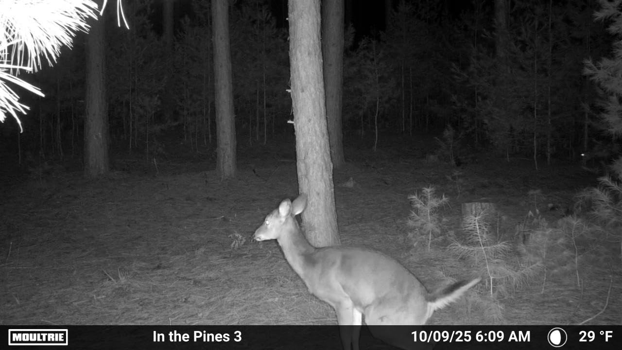 Moultrie Edge 2 Cellular Trail Camera customer photo 2