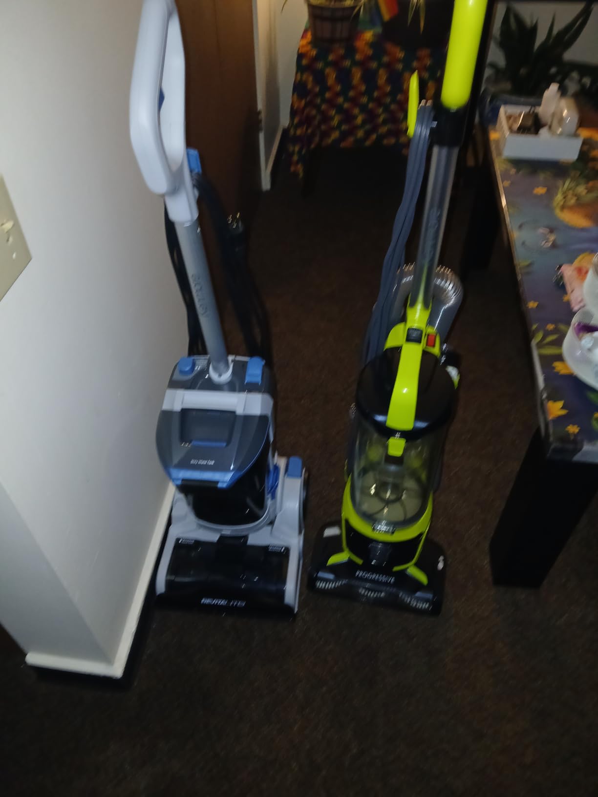 Kenmore Pet Portable Carpet Cleaner Machine with High Cleaning Power customer photo 1