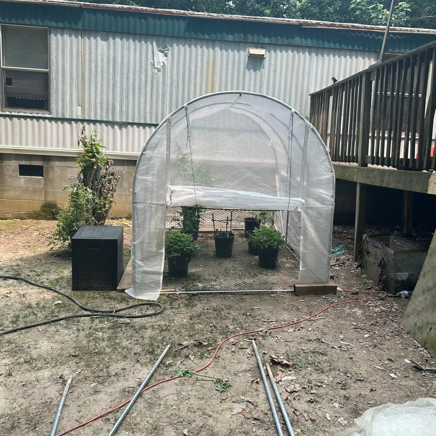 VEVOR Walk-in Tunnel Greenhouse, 9.6x6.4x6.2 ft Hoop House Greenhouse Tunnel, Plant Hot House with Galvanized Steel Frame, Green PE Cover, Roll-up Zipper Door and 6 Windows for Outdoor customer photo 1