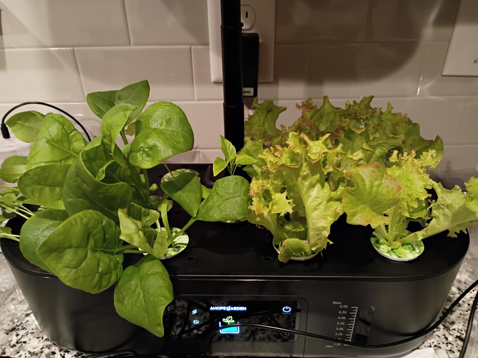 Ahopegarden Hydroponics Growing System Kit: 12 Pods with LCD Control Panel customer photo 1