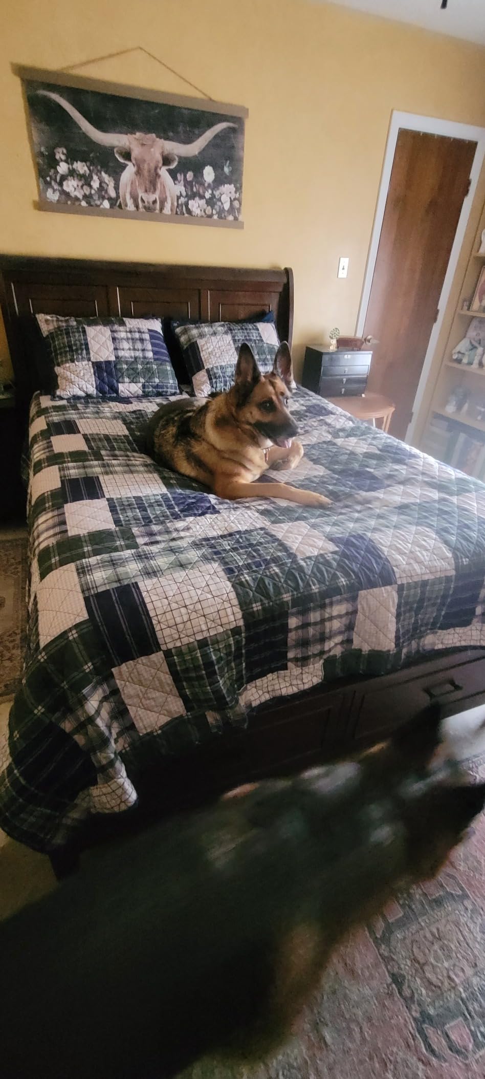 Madison Park Patchwork Farmhouse Red/Black Queen Quilt Set, 3pc | Diamond Quilted, Reversible Coverlet Set, Plush Cotton Filled, Lightweight, Machine Washable, Easy Care, All-Season, Cozy customer photo 1